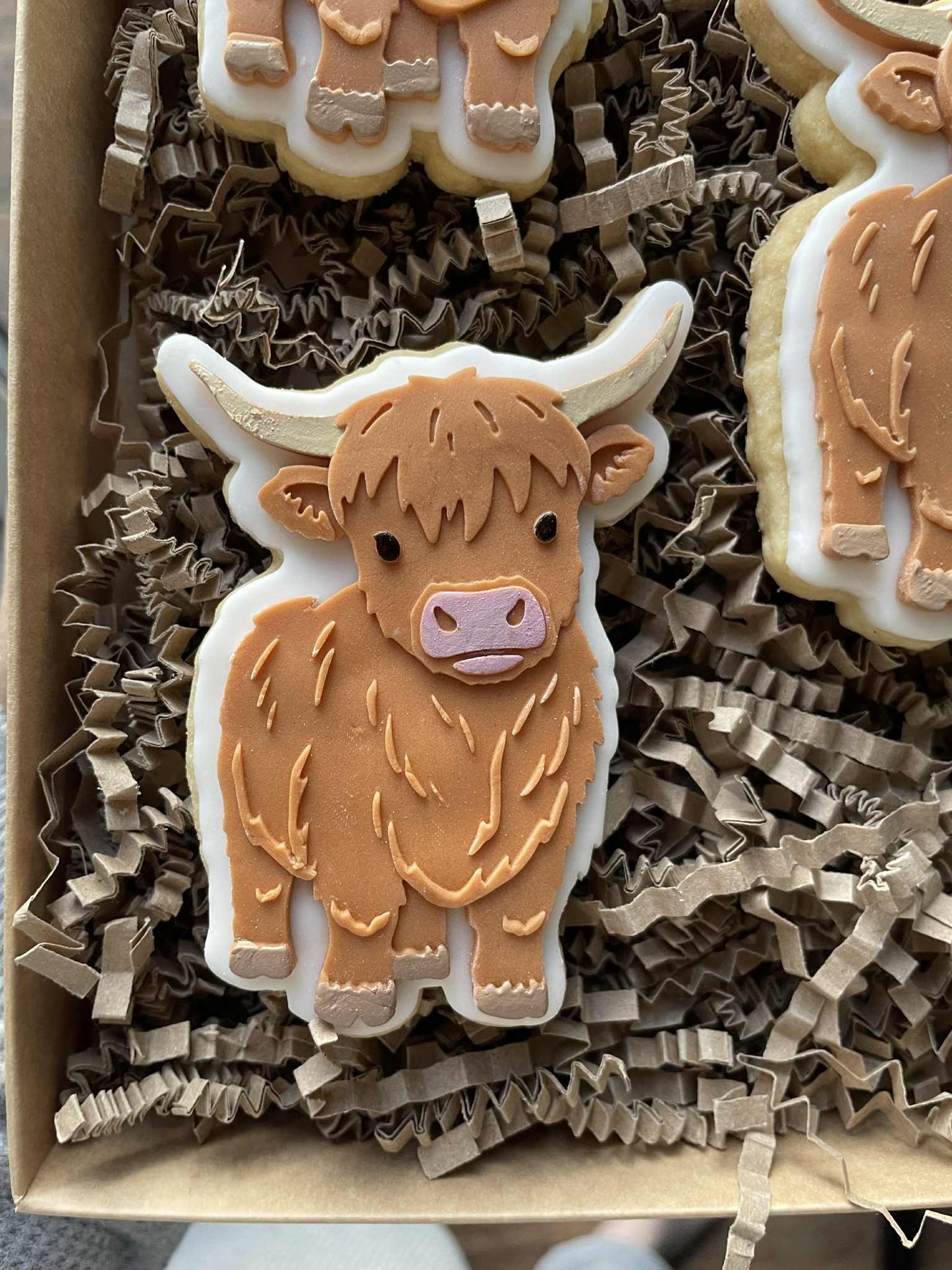 Highland Cow Cookie Cutter & Stamp