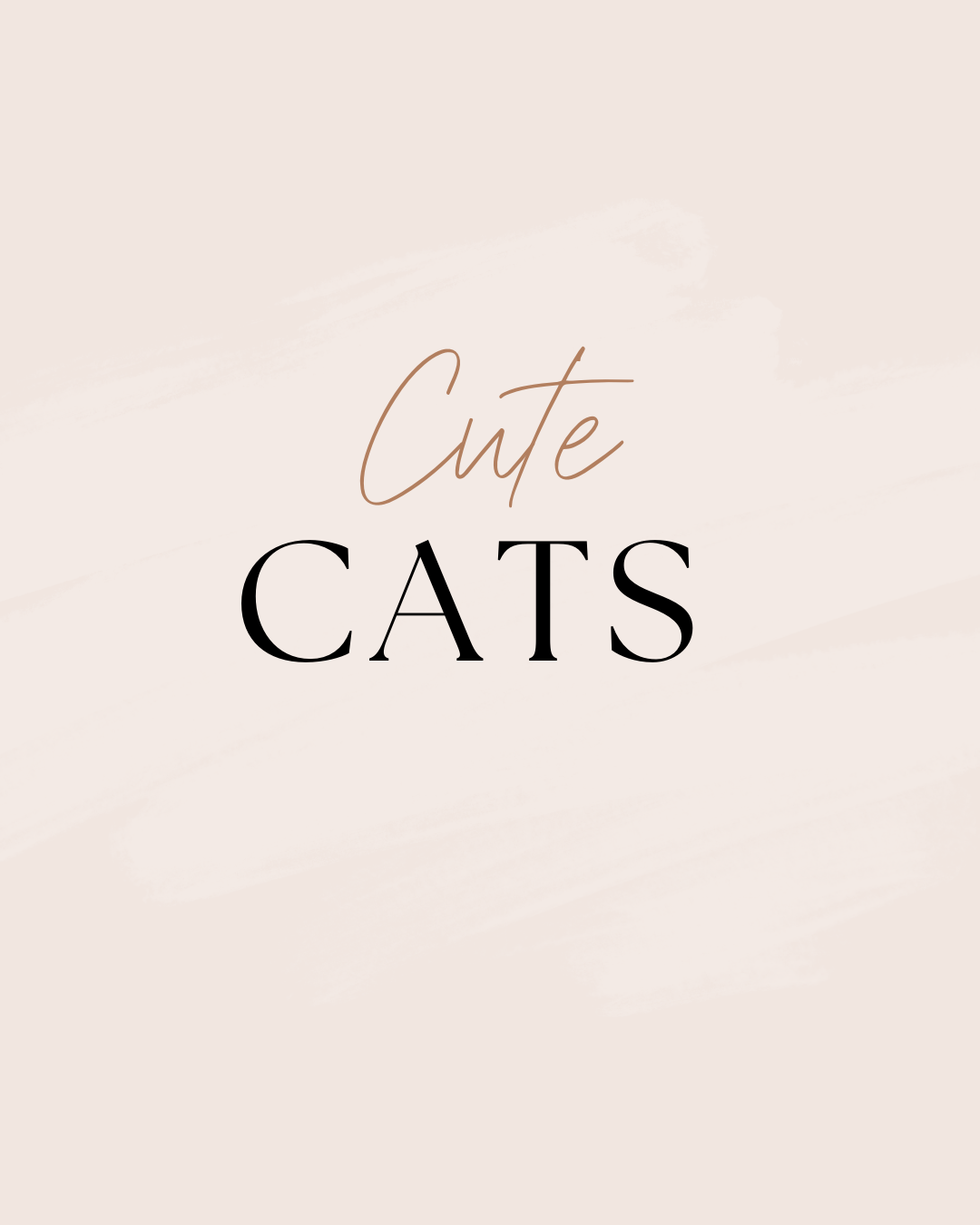Cute Cat Designs