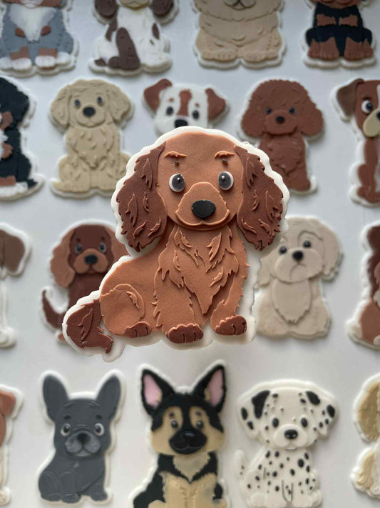 Dashaud cookie cutter and stamp