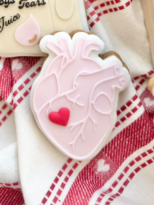 Anatomical Heart Cookie Cutter & Stamp