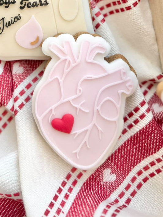 Anatomical Heart Cookie Cutter & Stamp