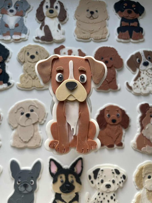 Boxer cookie cutter and stamp