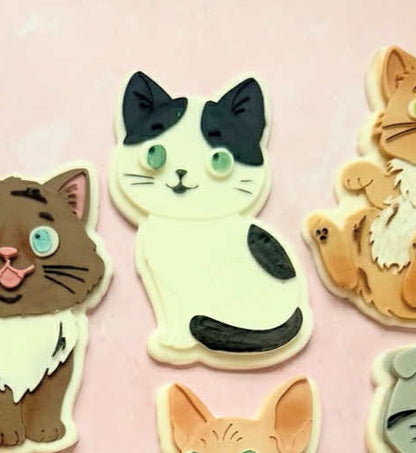 Cute cat - Cookie Cutter & Stamp