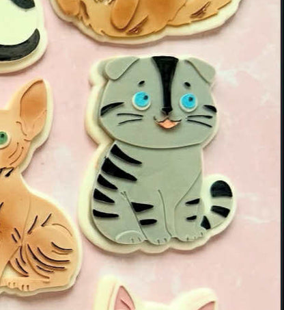 Scottish fold - Cookie Cutter & Stamp