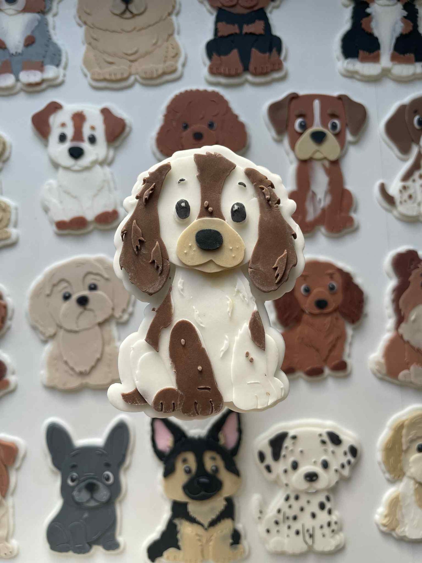 Springer Spaniel cookie cutter and stamp